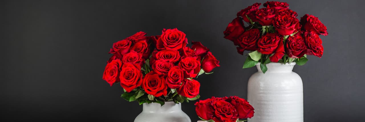 Elegant arrangement of vibrant red roses in two stylish vases against a dark background.